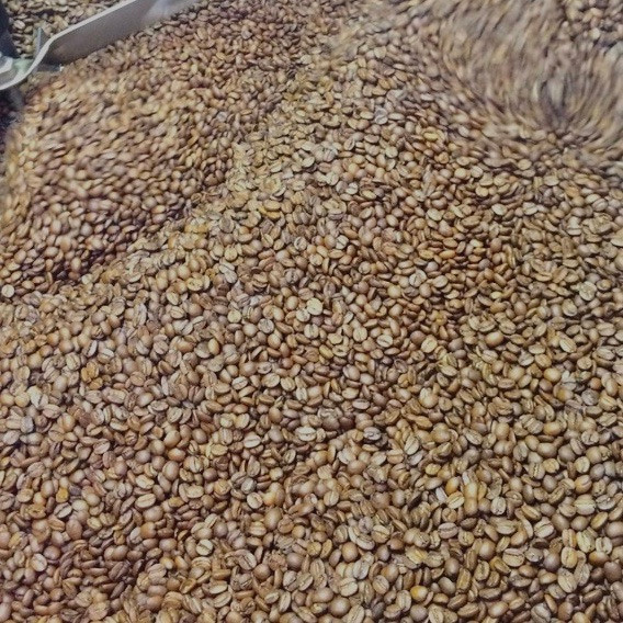 Daterra Sunrise - Image 3