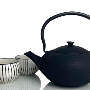 Shanxi Teapot and Tea Mug Gift Set