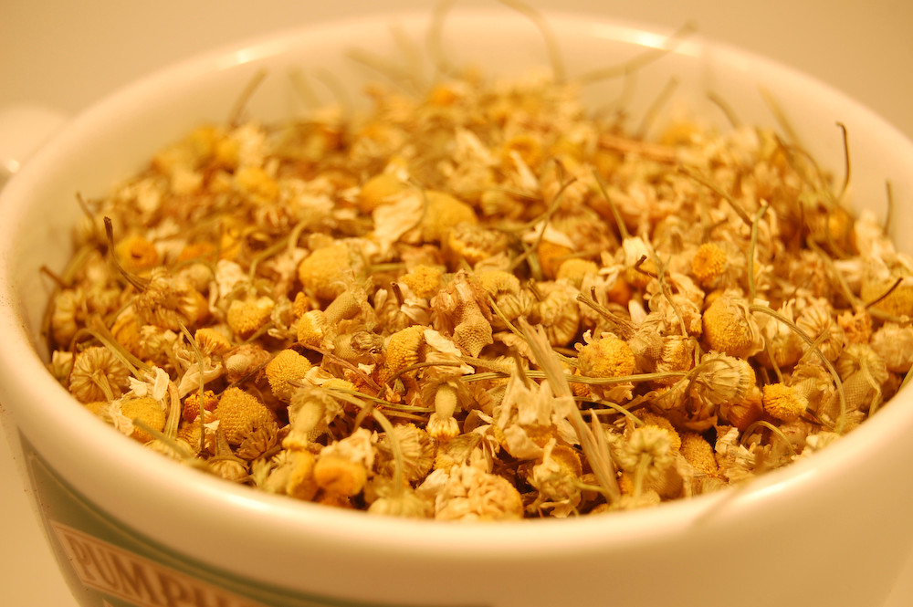 Chamomile Flower - Image 2